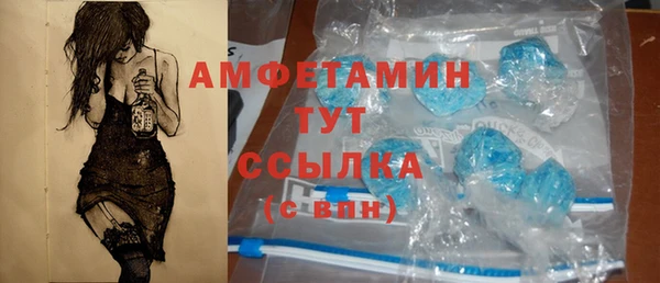 ECSTASY Алзамай