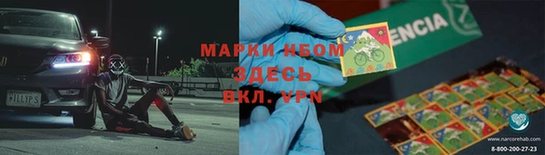 ECSTASY Алзамай